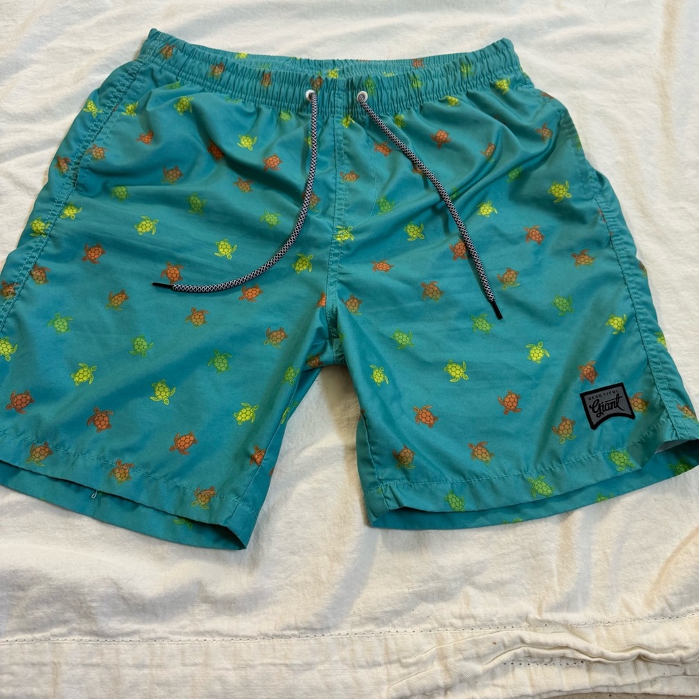 Beautiful Giant Men’s Swim Trunks Turtle Print Blue Shorts Mesh Liner Size L EUC